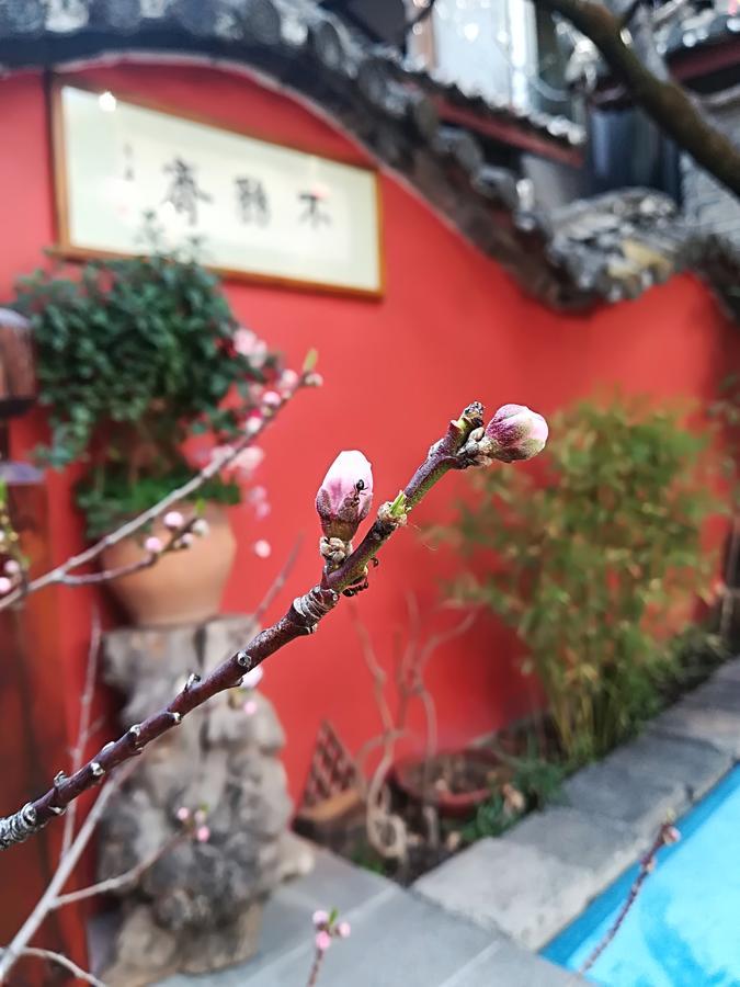 Lijiang Buwuzhai Inn Dış mekan fotoğraf
