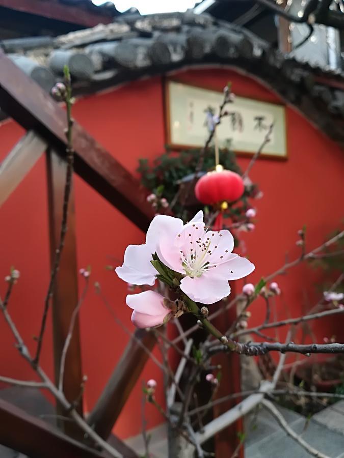 Lijiang Buwuzhai Inn Dış mekan fotoğraf